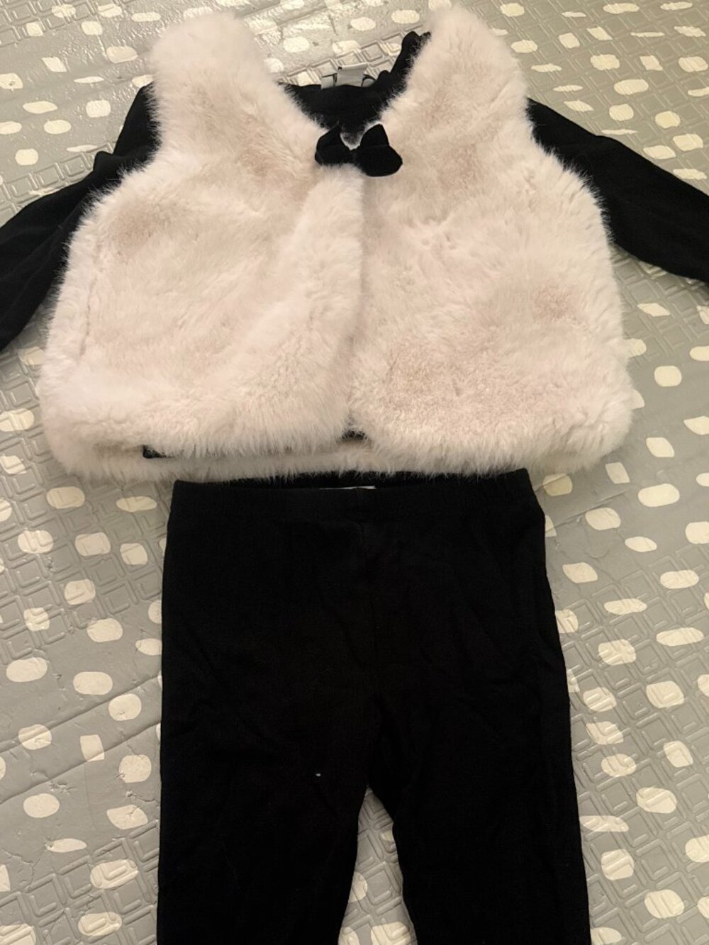 Splendid Fur Vest, Pants and Shirt